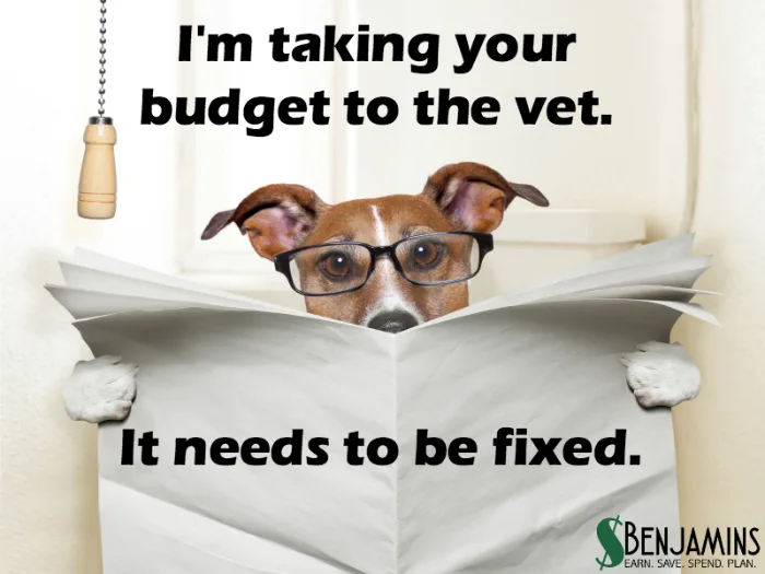 taking your budget to the vet